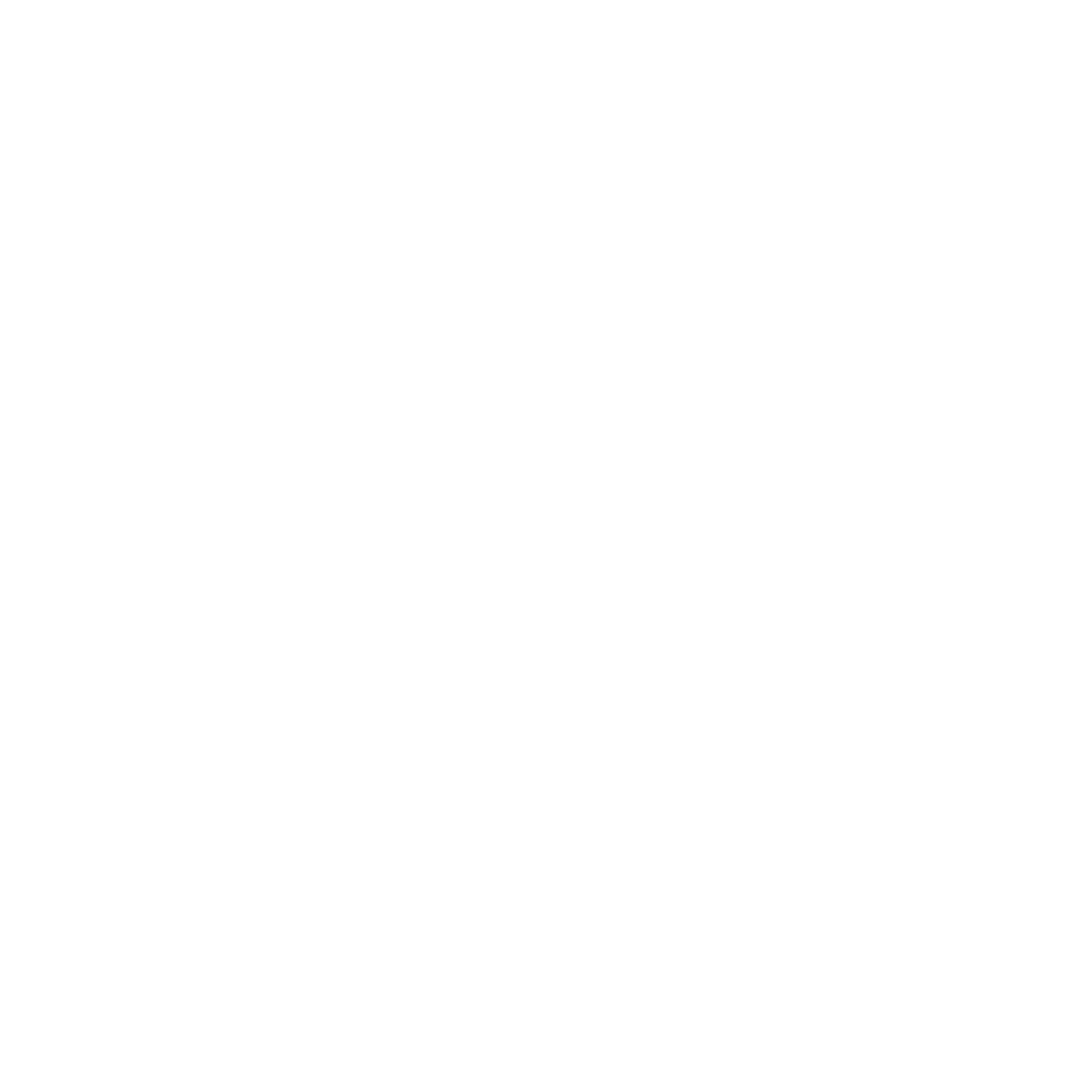 NightZoom Logo